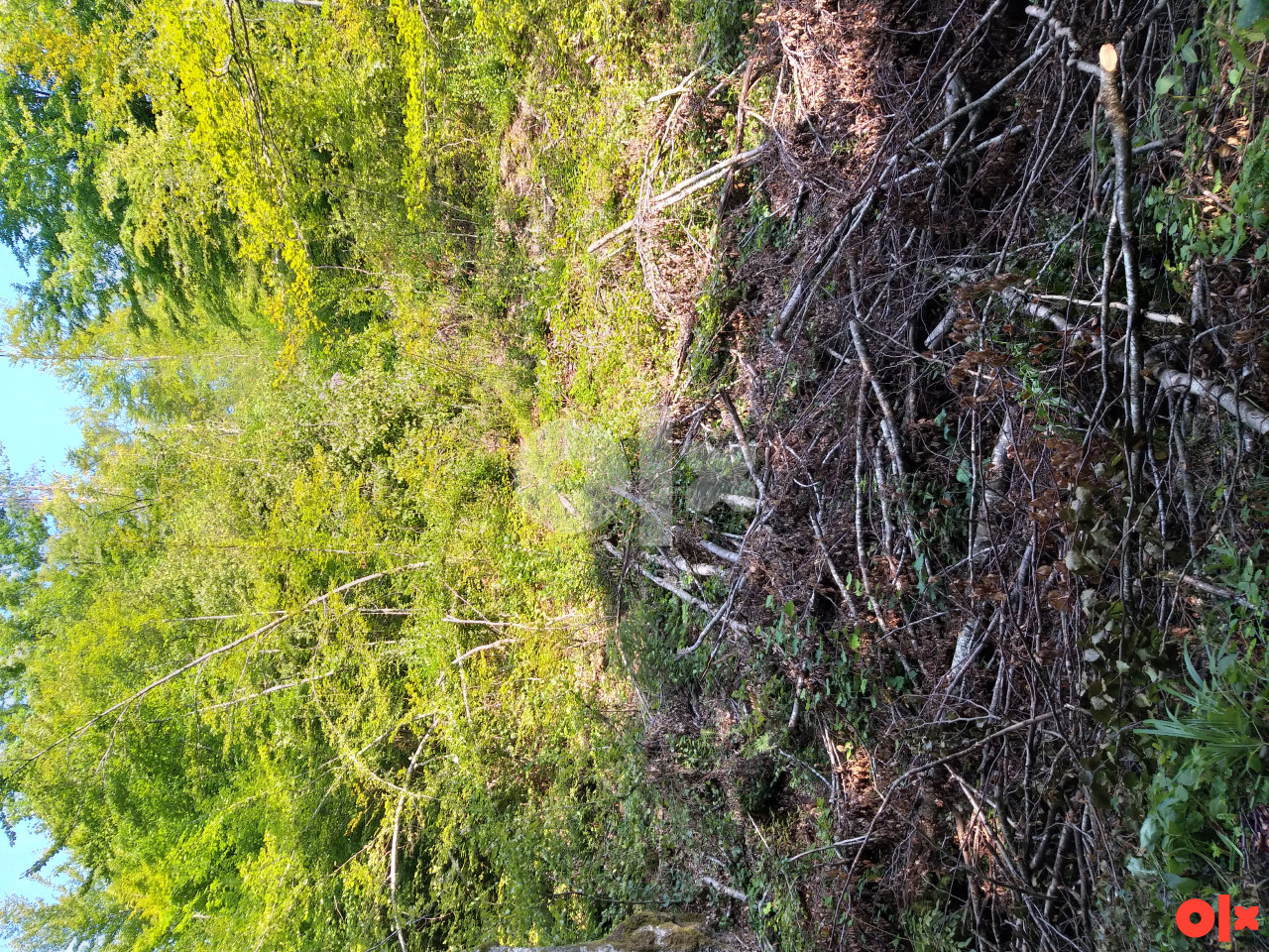 Zemljište u Borcima  , Konjic  32650m2 3