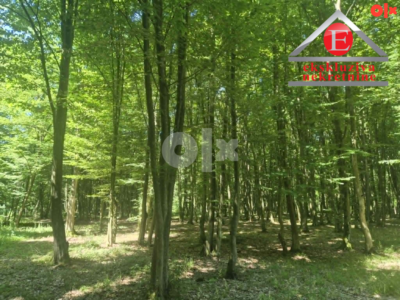 Tri parcele šume ukupne površine 8.388 m2 ID 4254/DŠ 2