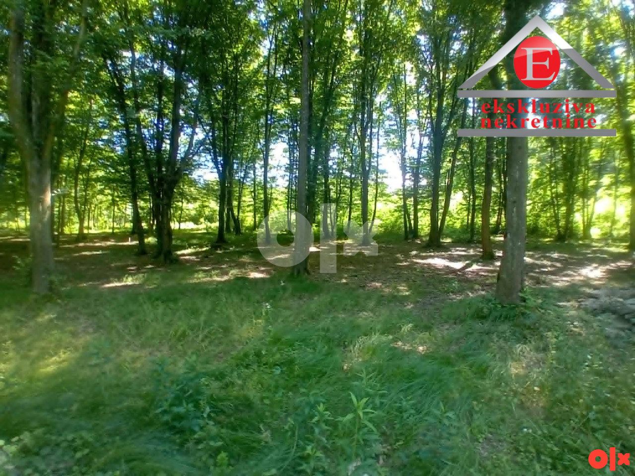 Tri parcele šume ukupne površine 8.388 m2 ID 4254/DŠ 3