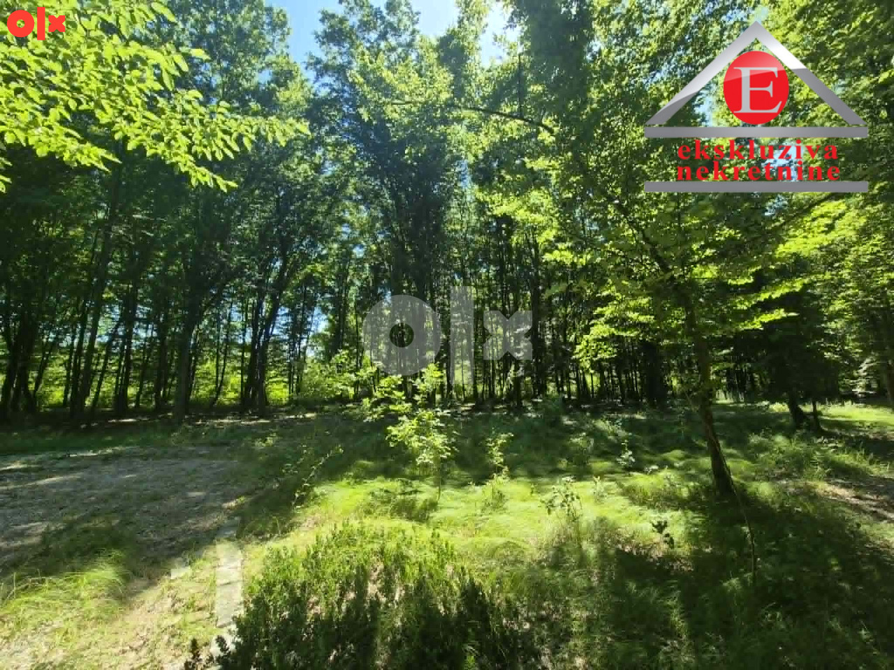 Tri parcele šume ukupne površine 8.388 m2 ID 4254/DŠ 8