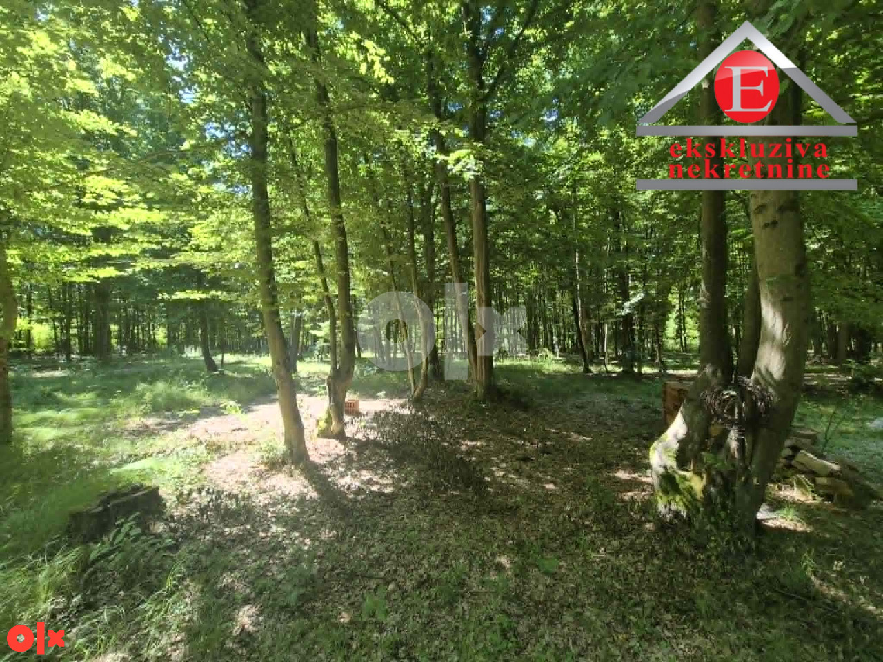 Tri parcele šume ukupne površine 8.388 m2 ID 4254/DŠ 9