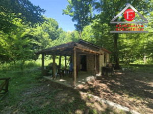 Tri parcele šume ukupne površine 8.388 m2 ID 4254/DŠ
