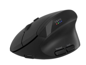 CANYON wireless mouse MW-25 ergonomski dual (18154)