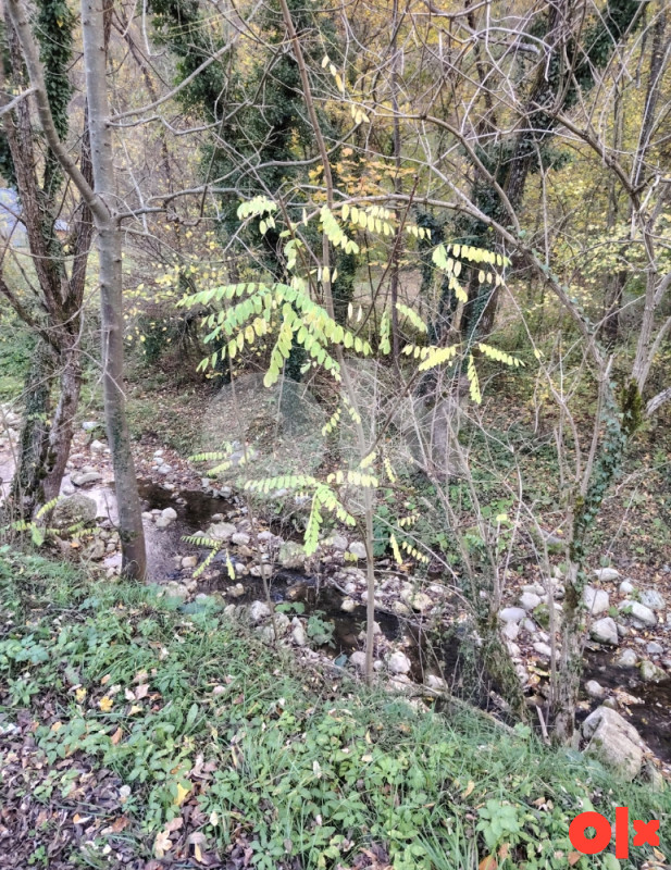 Zemljište Banja Luka 3