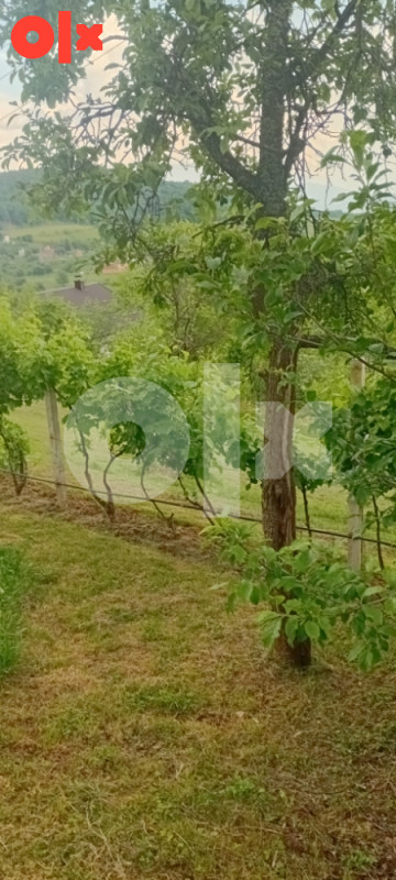Zemljište Ilidža 10