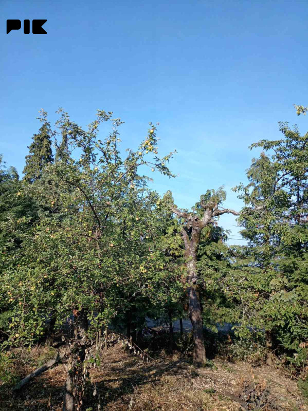 Zemljište, plac sa temeljem, Krčmarice, Banja Luka, 1512 m² - Prikaz 3