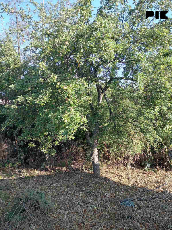 Zemljište, plac sa temeljem, Krčmarice, Banja Luka, 1512 m² - Prikaz 5