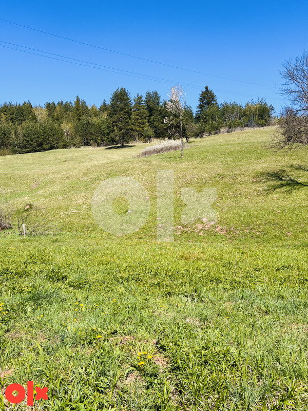 Zemljište Pale 45000m2 7