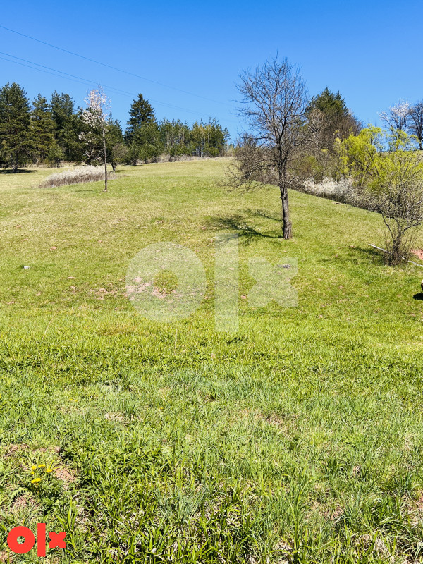 Zemljište Pale 45000m2 8