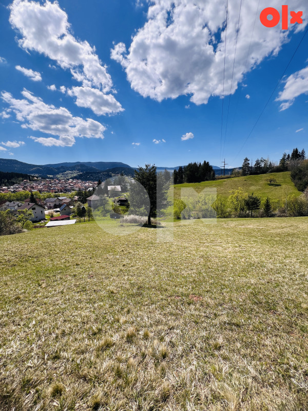 Zemljište Pale 45000m2 4