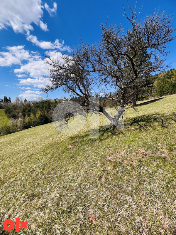 Zemljište Pale 45000m2 11