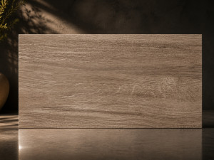 PLOČICA KALA NATURAL 30X60 1,62M2/PAK C69701