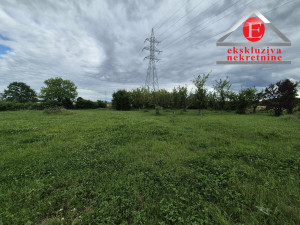 - GRBAVICA - Kuća na placu površine 2.869m2 ID: 4256/MM photo 4