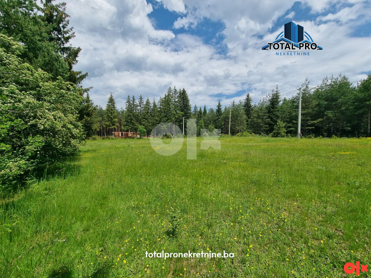 TOTAL PRO / Zemljište 8476 m2 / Kamenica / Nišići 7