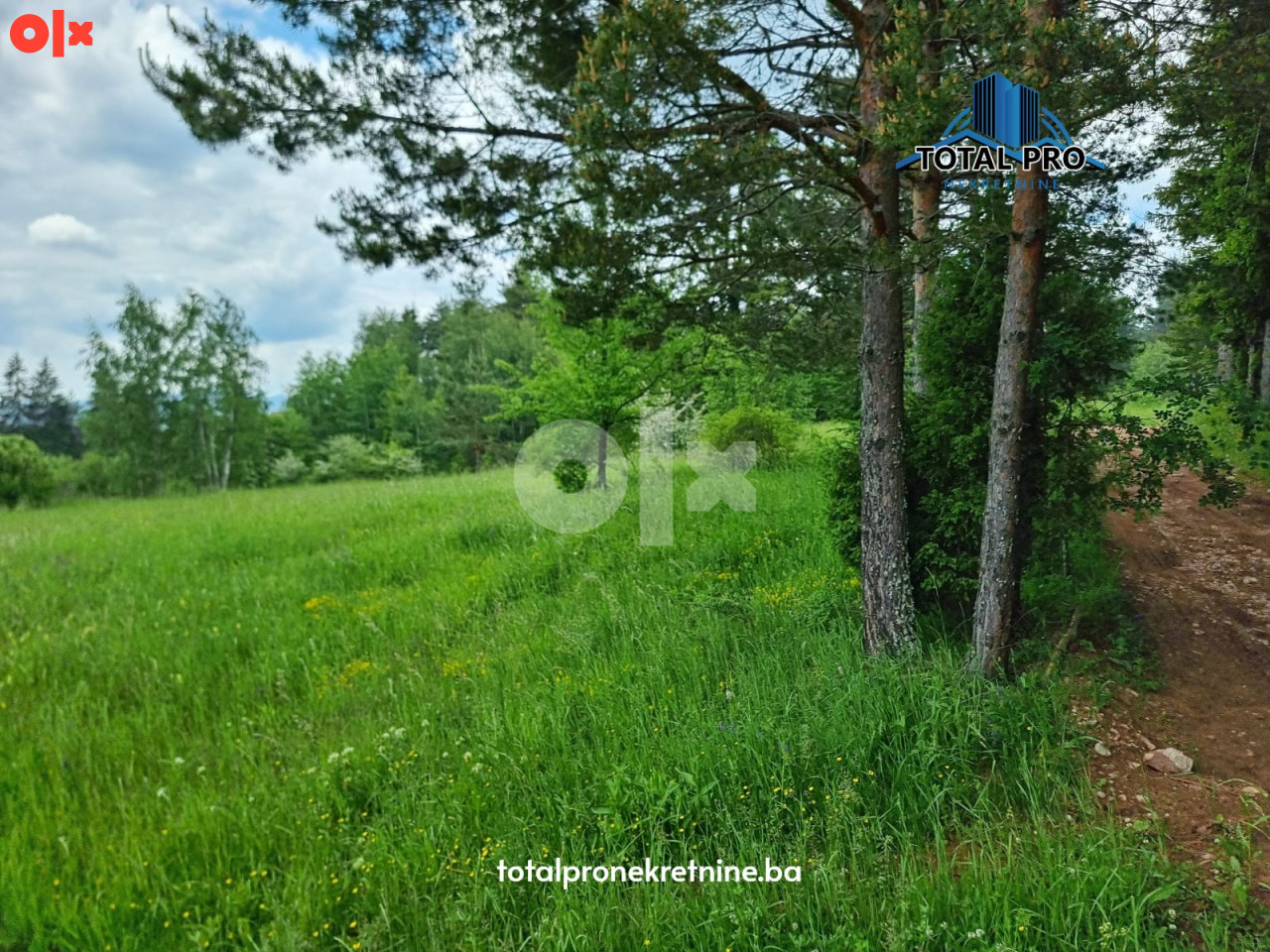 TOTAL PRO / Zemljište 8476 m2 / Kamenica / Nišići 8