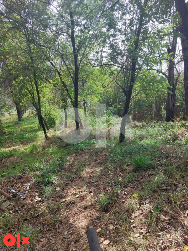 PRODAJE SE VECA PAECELA U SARGOVCU