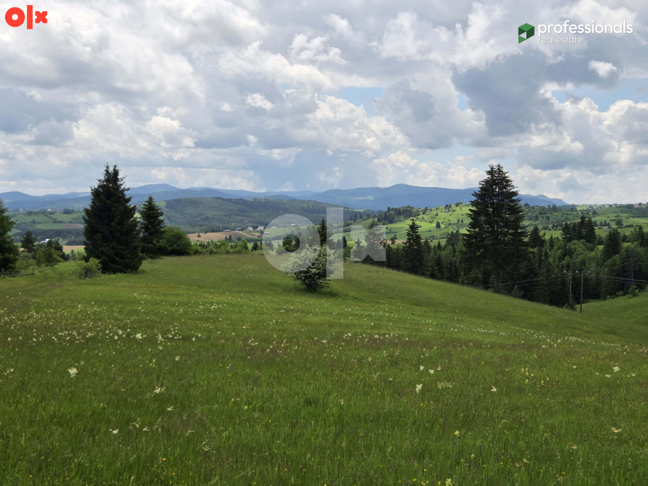 Zemljište Nišići Ilijaš Sarajevo 12561m2 11