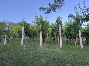 Kuća Tuzla 92m2 photo 5