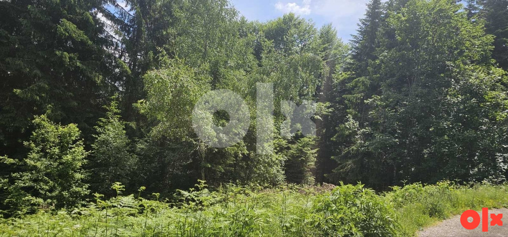Prodaje se zemljiste u opcini Ilijas izmedju Gajeva i sela Vrutci