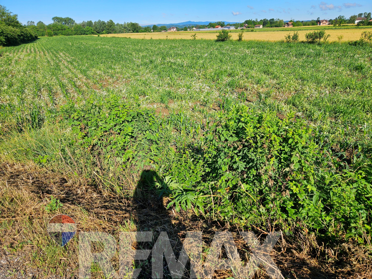 Zemljište 8098m2 uz kanal - Petoševci, 3km od autoputa 3