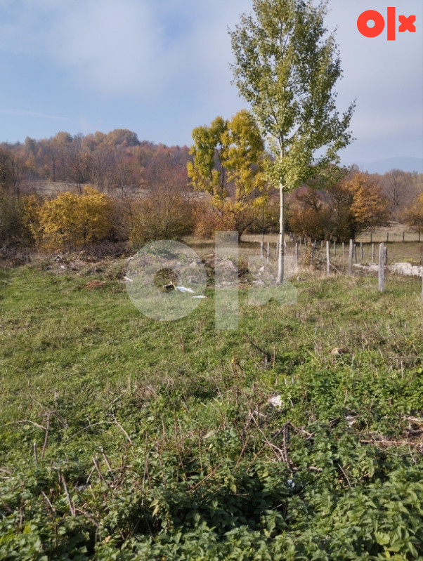 Zemljište Trnovo 3