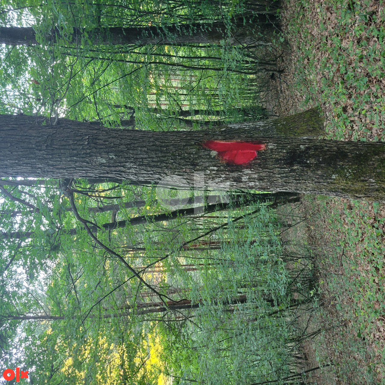 Zemljište Podvinci-Visoko 2
