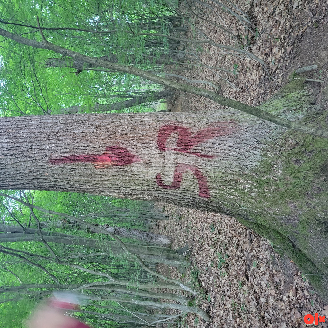 Zemljište Podvinci-Visoko 4