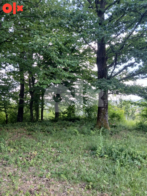 Zemljište Gornja Tuzla 5