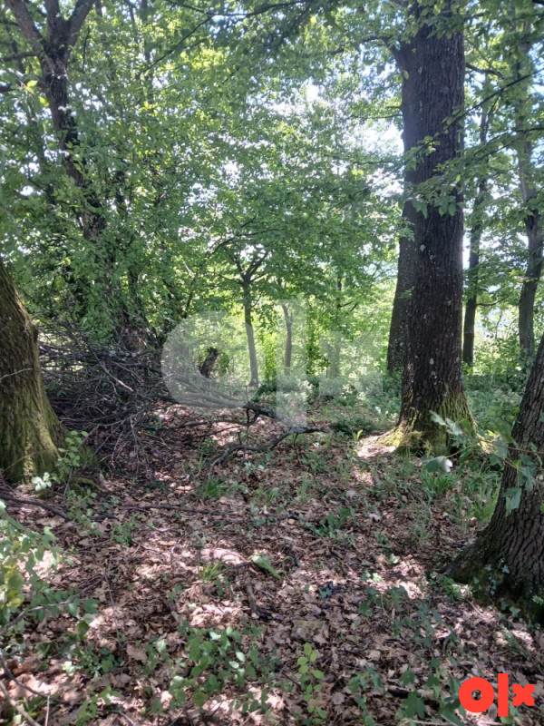 Zemljište Gornja Tuzla 7