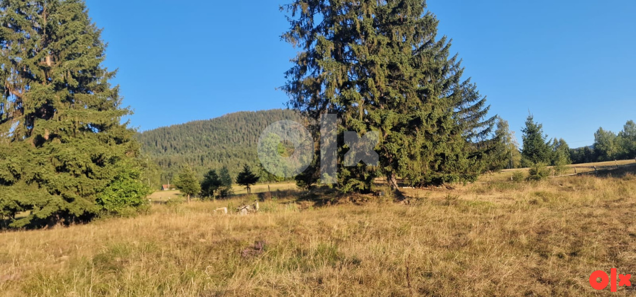 Zemljište Pale 2508m2 6