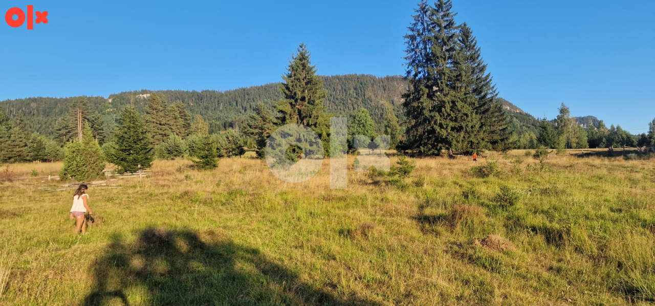 Zemljište Pale 2508m2 8
