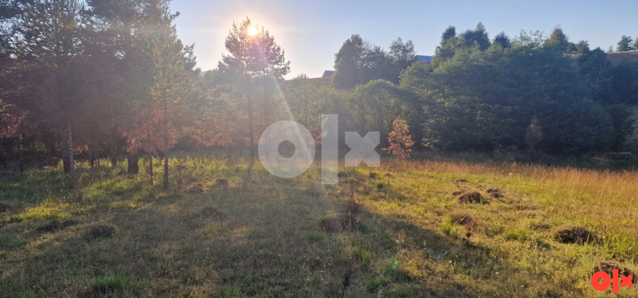 Zemljište Pale 2508m2 11