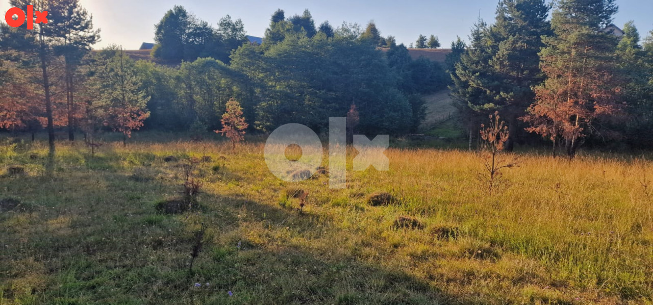 Zemljište Pale 2508m2 13