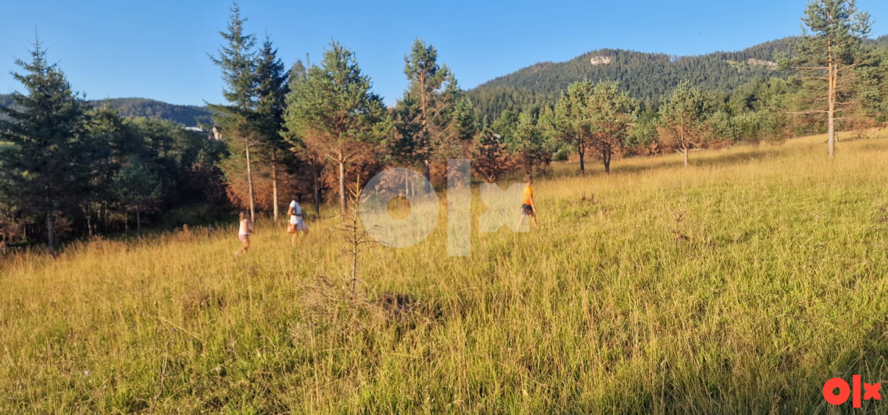 Zemljište Pale 2508m2 16