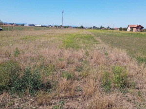 Zemljište Bijeljina 5000 m2, pomocni objekat 300m2