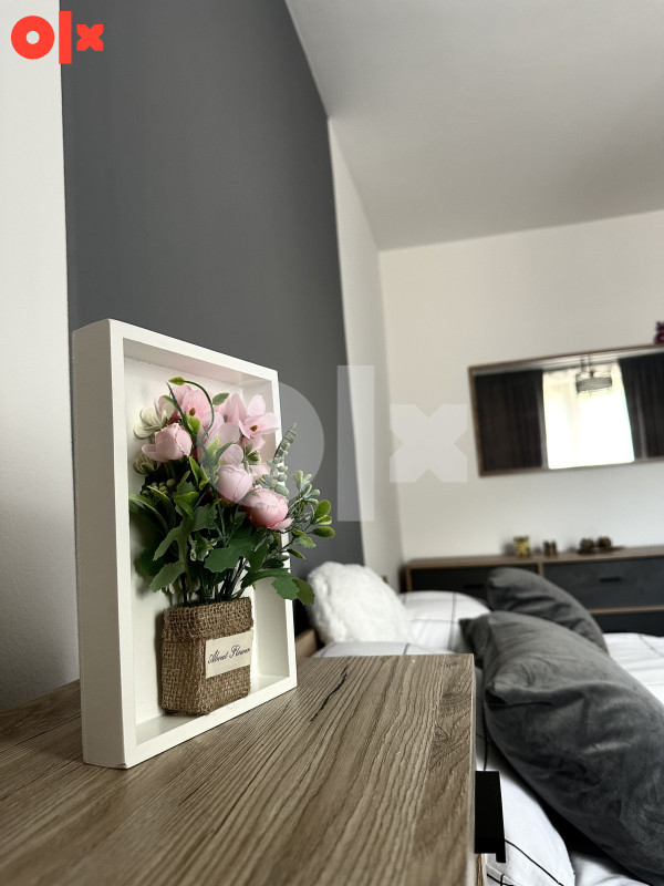 Golden Apartment 7