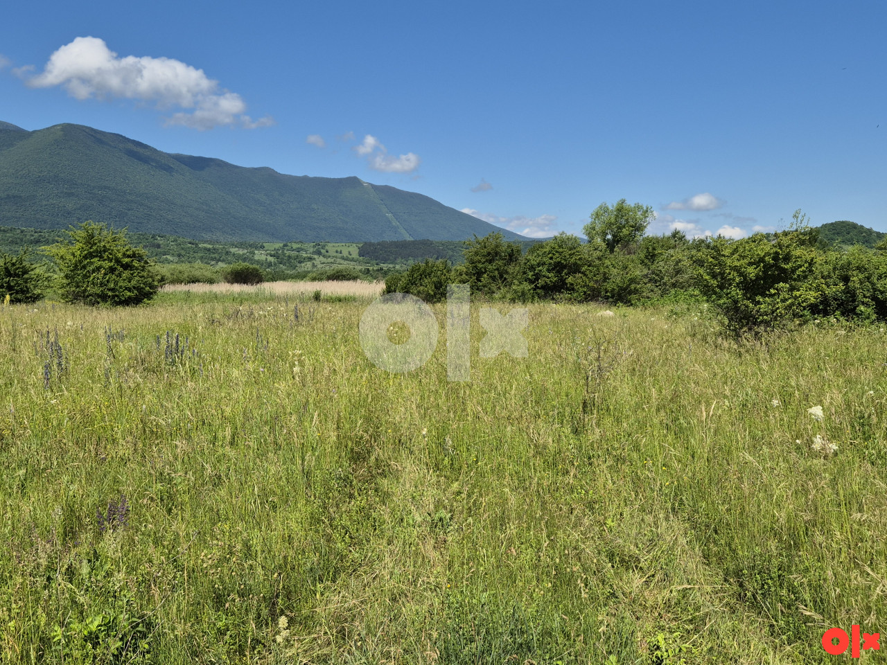 Zemljište Vedro Polje / Bihać / 8.139m2 2