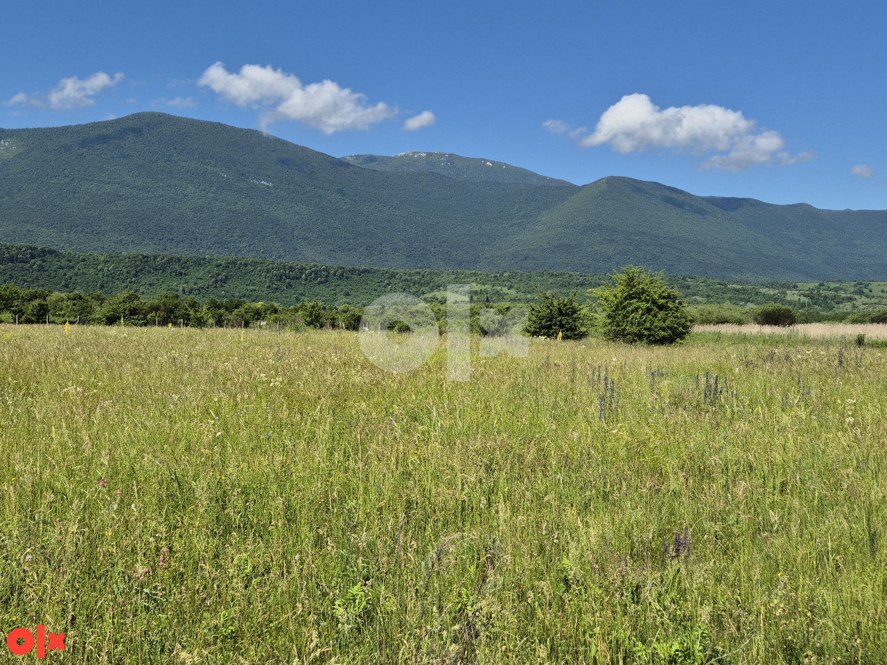 Zemljište Vedro Polje / Bihać / 8.139m2 3