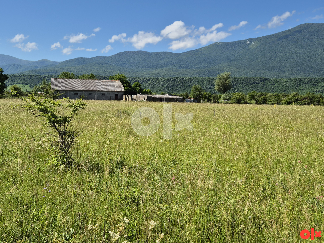 Zemljište Vedro Polje / Bihać / 8.139m2 4