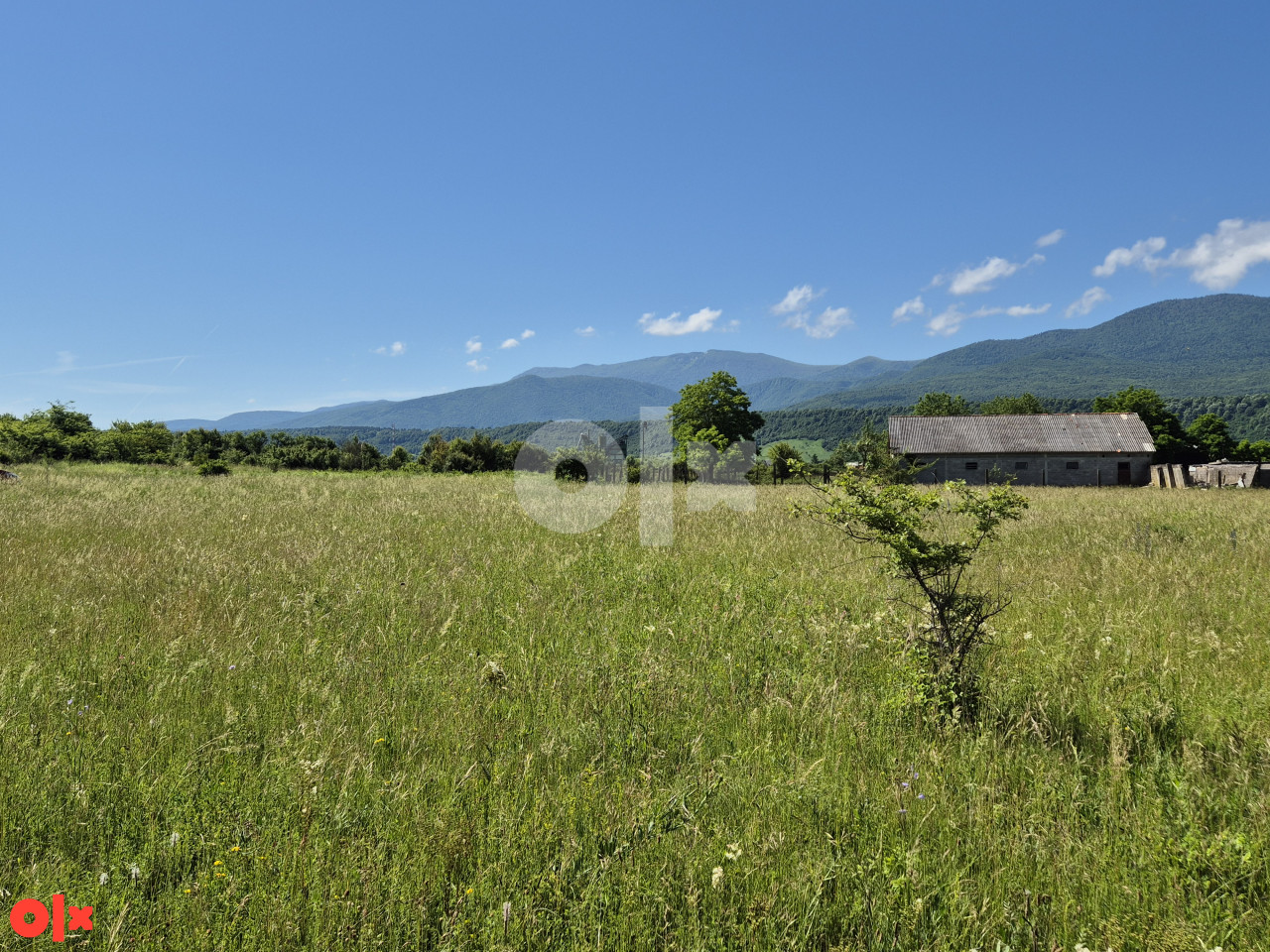 Zemljište Vedro Polje / Bihać / 8.139m2 5