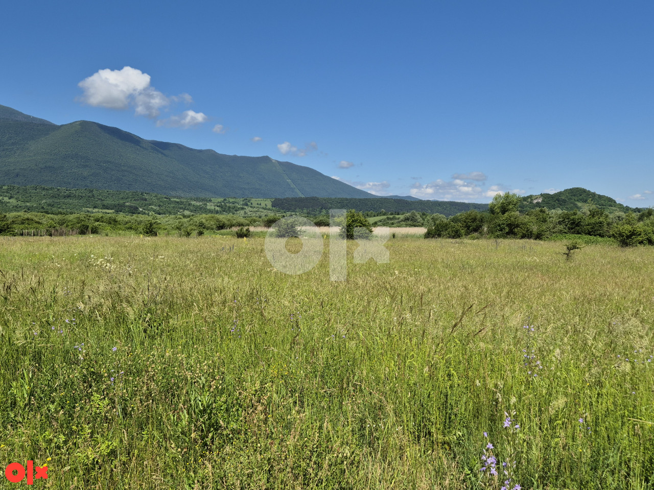 Zemljište Vedro Polje / Bihać / 8.139m2 6