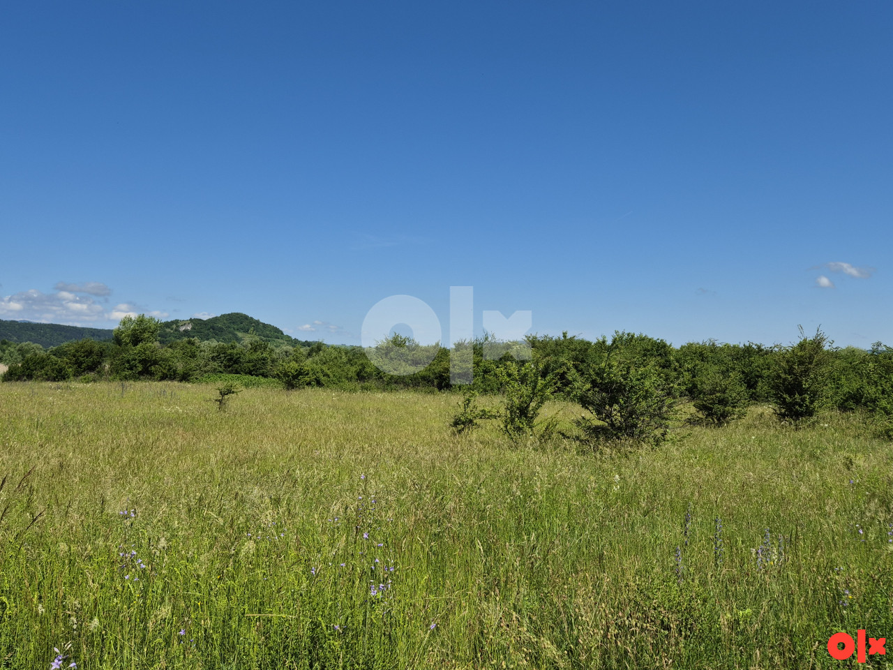 Zemljište Vedro Polje / Bihać / 8.139m2 7