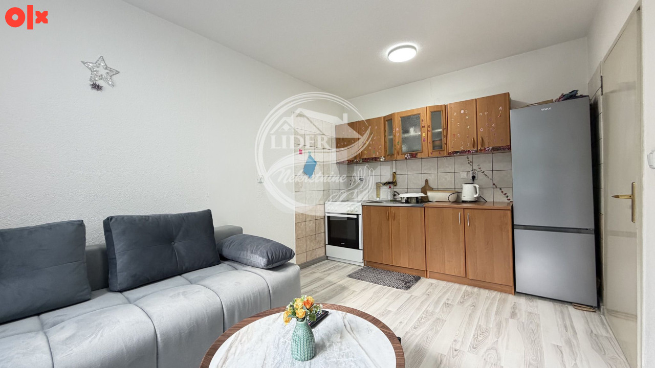 Mala kvadratura. Velike mogućnosti! Stupine- 35m2 9