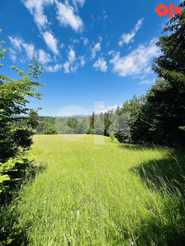 Zemljište Krivodoli, Pale 12404m2 2