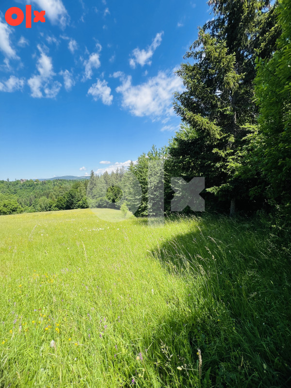 Zemljište Krivodoli, Pale 12404m2 3