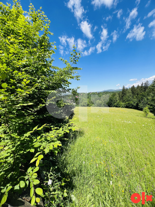 Zemljište Krivodoli, Pale 12404m2 5