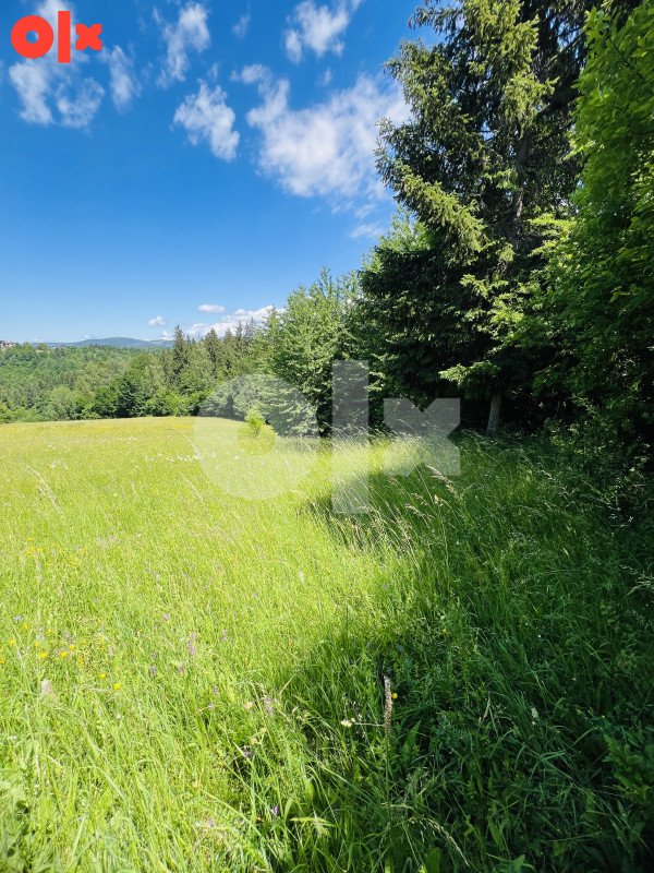 Zemljište Krivodoli, Pale 12404m2 7