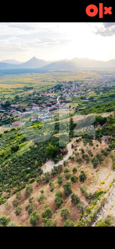 Maslinik Građevinsko Zemljište Ljubuški 2