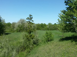 Zemljište Bihać 3295m2, Međudražje, uz glavnu cestu