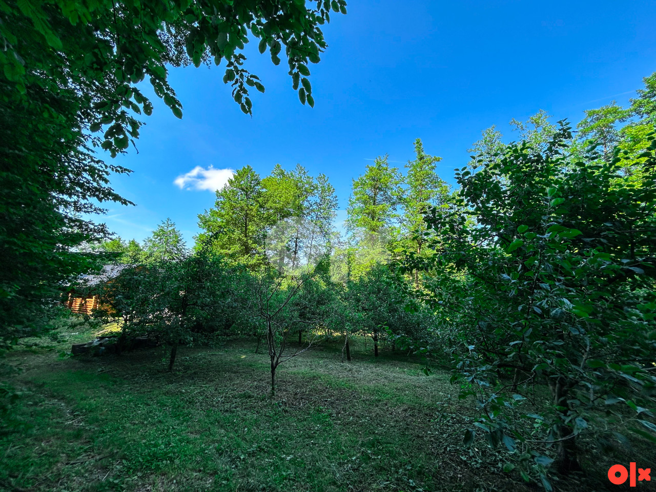 Vikendica / Brvnara sa placem 1.248m2 | Šnjegotina Gornja,Teslić 9